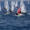 Copa de España de Optimist