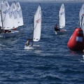 Copa de España de Optimist
