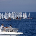 Copa de España de Optimist
