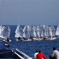 Copa de España de Optimist