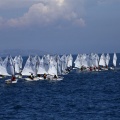 Copa de España de Optimist
