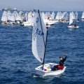 Copa de España de Optimist