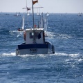 Copa de España de Optimist