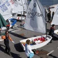 Copa de España de Optimist