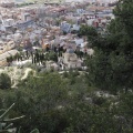 Alcora