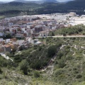 Alcora