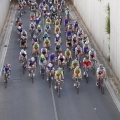 Castellón, Ciclismo, 2013