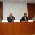 Castellón, 2013