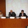 Castellón, 2013