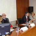 Castellón, 2013