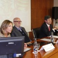 Castellón, 2013