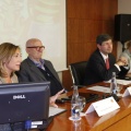 Castellón, 2013
