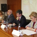 Castellón, 2013
