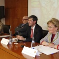 Castellón, 2013