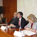 Castellón, 2013