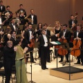 Castellón, Ópera, 2013