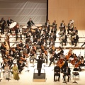 Castellón, Ópera, 2013