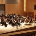 Castellón, Ópera, 2013