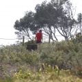 Oropesa