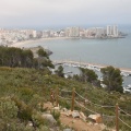 Oropesa