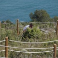Oropesa