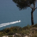 Oropesa