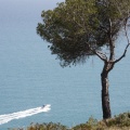 Oropesa