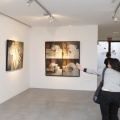 Castellón, Exposiciones Benicàssim 2013