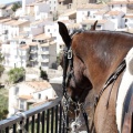 Castellón, Rallye Costa Azahar Classic 2013