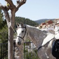 Castellón, Rallye Costa Azahar Classic 2013