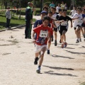 Castellón, II Carrera Familiar- Free Run