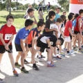 Castellón, II Carrera Familiar- Free Run