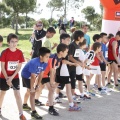 Castellón, II Carrera Familiar- Free Run