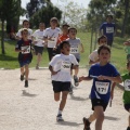Castellón, II Carrera Familiar- Free Run
