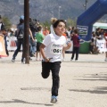 Castellón, II Carrera Familiar- Free Run