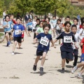 Castellón, II Carrera Familiar- Free Run