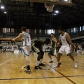 Amics del Bàsquet