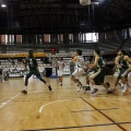 Amics del Bàsquet