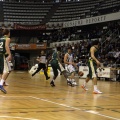 Amics del Bàsquet