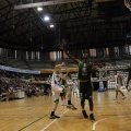 Amics del Bàsquet