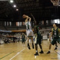 Amics del Bàsquet