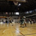 Amics del Bàsquet