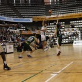 Amics del Bàsquet