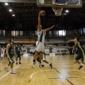 Amics del Bàsquet