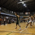 Amics del Bàsquet