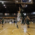 Amics del Bàsquet