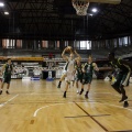 Amics del Bàsquet
