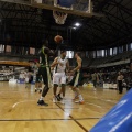 Amics del Bàsquet