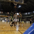 Amics del Bàsquet