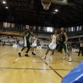 Amics del Bàsquet